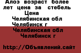  Алоэ. возраст  более 8 лет. цена  за 1 стебель. › Цена ­ 500 - Челябинская обл., Челябинск г.  »    . Челябинская обл.,Челябинск г.